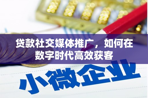 仁寿贷款社交媒体推广，如何在数字时代高效获客