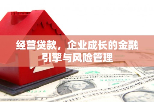 苍溪经营贷款，企业成长的金融引擎与风险管理